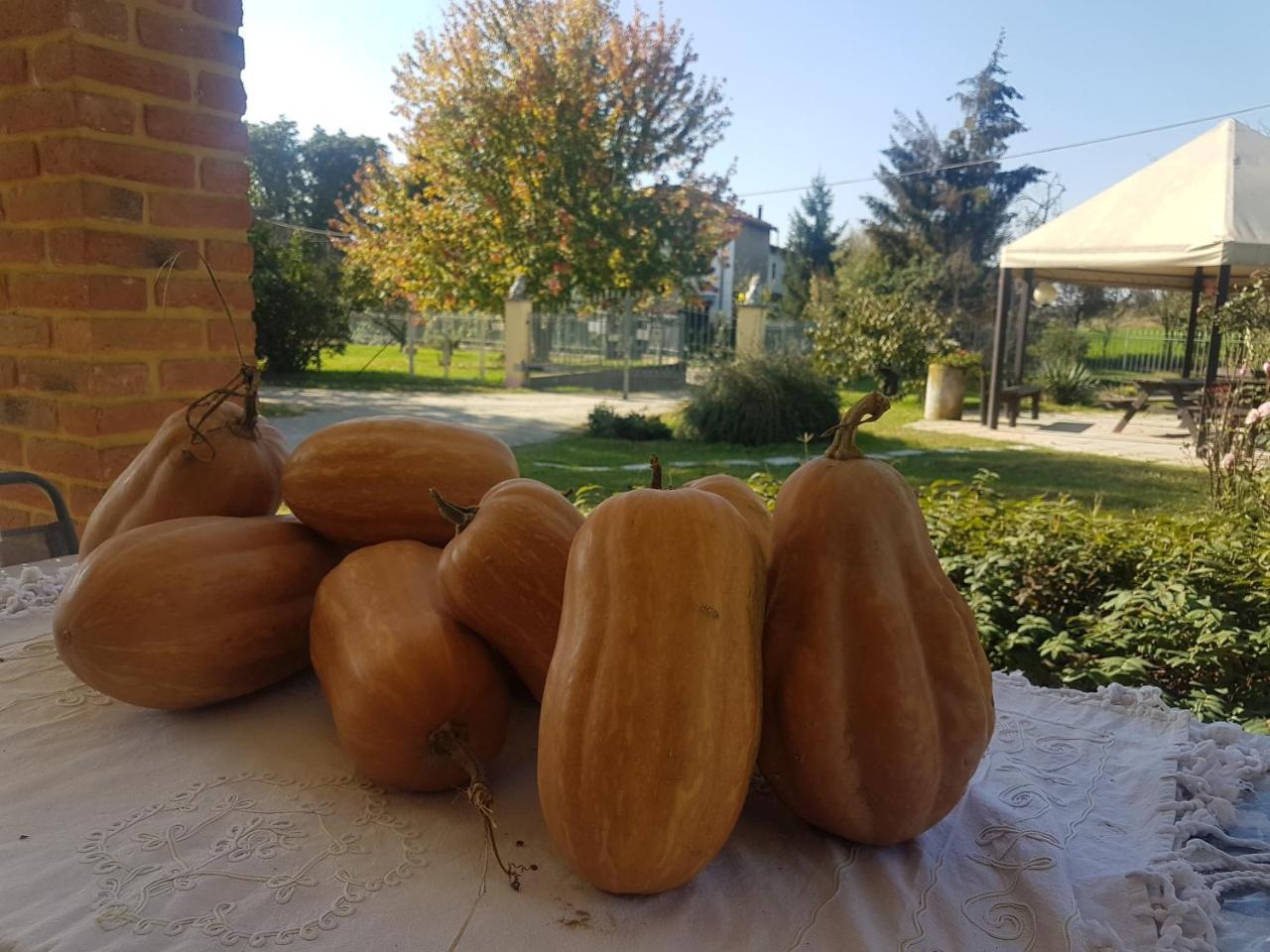 La Crota B&B Asti Kültér fotó